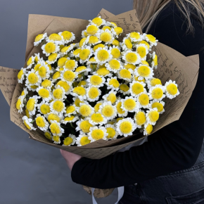 Букет "Моё солнышко" из 11 хризантем сантини  в Краснознаменске
