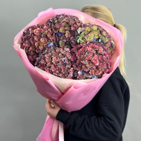 Букет из 5 космических Голландских гортензий в Краснознаменске