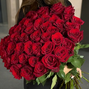Букет 51 роза Эквадор Эксплорер (60 см) в Краснознаменске
