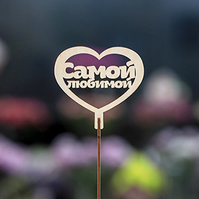 Топпер Самой Любимой в Краснознаменске