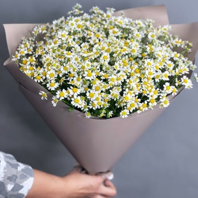 Букет из 17 ромашек танацетум в Краснознаменске