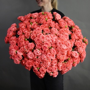 Букет из 39 коралловых кустовых роз (50 см) в Краснознаменске
