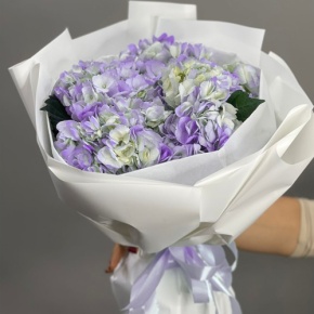 Букет из 5 фиолетовых гортензий в Краснознаменске
