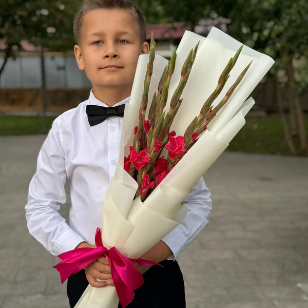 Букет на 1 сентября из 7 малиновых гладиолусов в Краснознаменске