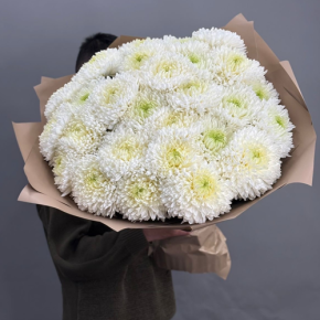 Букет из 27 хризантем Магнум в Краснознаменске