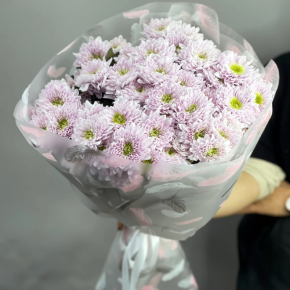 Букет "Нежный комплимент" из 9 кустовых хризантем в Краснознаменске