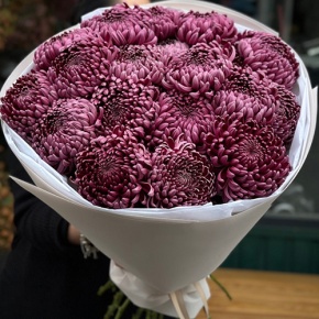 Букет 21 винной хризантемы Бигоуди в Краснознаменске