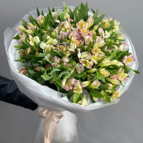 Букет "Зарина" из 37 альстромерий микс в Краснознаменске