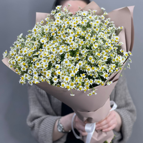 Букет из 17 полевых ромашек в Краснознаменске