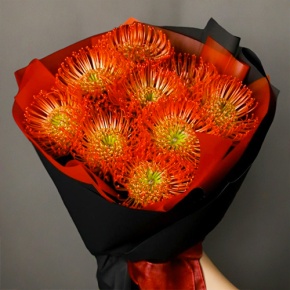 Букет из 9 лейко в Краснознаменске