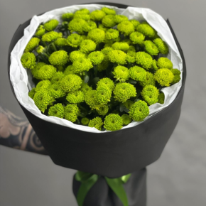 Стильный букет "Лайм" из 15 хризантем сантини в Краснознаменске