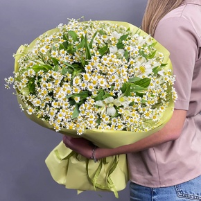 Букет из альстромерий и ромашек в Краснознаменске