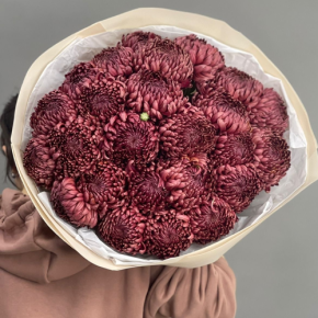 Букет 21 шоколадной хризантемы Бигоуди в Краснознаменске