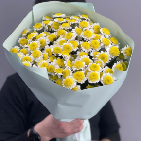 Букет "Моё солнышко" из 17 хризантем сантини  в Краснознаменске