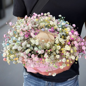 Композиция в коробке сердца из радужных гипсофил с топпером в Краснознаменске