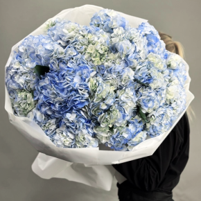 Букет из 23 синих гортензий в Краснознаменске