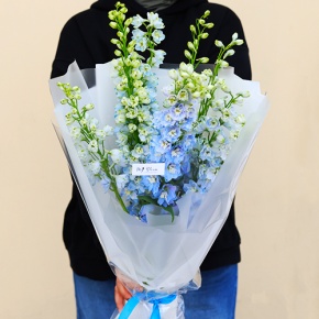 Стильный букет из 9 дельфиниумов в Краснознаменске