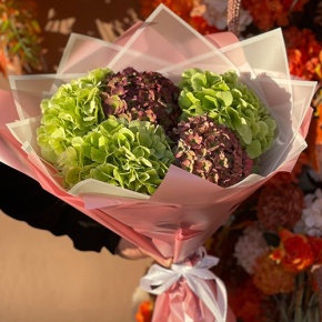 Букет из Голландских гортензий микс в Краснознаменске