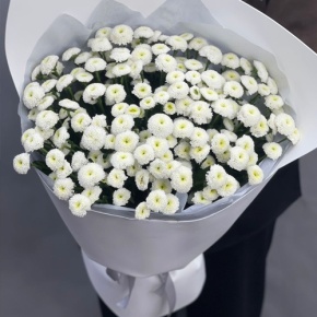 Букет "Белая дымка" из 25 хризантем сантини в Краснознаменске