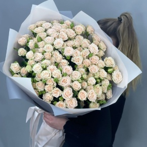 Букет из 25 кремовых кустовых роз (70 см) в Краснознаменске