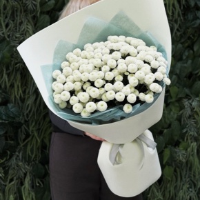 Букет из 25 хризантем Ньютон в Краснознаменске