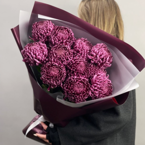 Букет "Изобилие" из 11 винных хризантем Бигоуди в Краснознаменске
