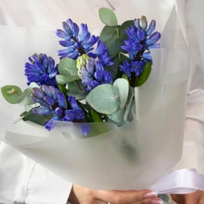 Букет "Мини" из 5 ароматных гиацинтов и эвкалипта в Краснознаменске