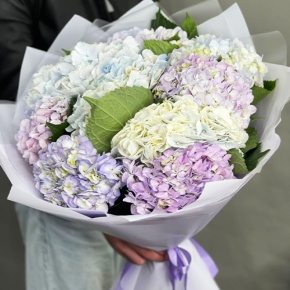 Букет из 9 Голландских гортензий микс в Краснознаменске