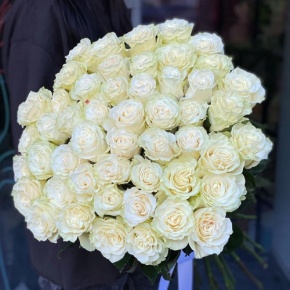 Букет из 51 розы Эквадор Мондиаль под ленту (80 см) в Краснознаменске