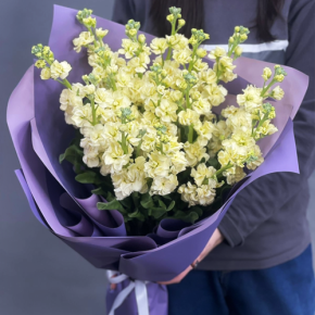 Букет из 15 лимонных маттиол в Краснознаменске