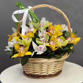Композиция в корзине из 25 орхидей микс в Краснознаменске
