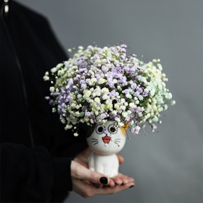 Композиция из гипсофил в керамическом кашпо в Краснознаменске