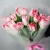 Букет "Фламинго" из 11 пионовидных тюльпанов в Краснознаменске