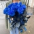 15 синих LUX роз Эквадор (70 см) в Краснознаменске