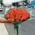 Букет из 51 мандариновой розы (40 см) в Краснознаменске