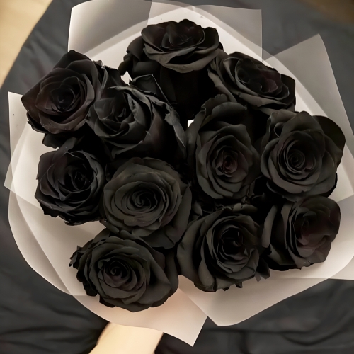 Букет "Черная королева" из 11 черных роз Эквадор (60 см) в Краснознаменске