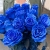 15 синих LUX роз Эквадор (70 см) в Краснознаменске