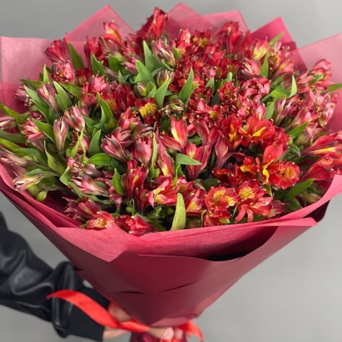 Монобукет из 25 красных альстромерий в Краснознаменске