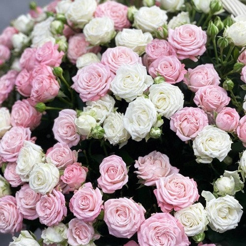 Композиция в корзине из 101 кустовой пионовидной розы в Краснознаменске