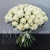 Букет 75 белых роз Эквадор Мондиаль (80 см) в Краснознаменске
