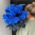 15 синих LUX роз Эквадор (70 см) в Краснознаменске