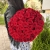 Букет 51 красной розы 50 см в Краснознаменске
