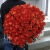 Букет 101 коралловая роза (60 см) в Краснознаменске
