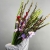 Букет из 25 гладиолусов микс в Краснознаменске