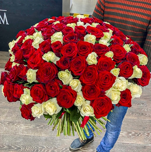 Букет 151 роза красный и белый микс (60 см) в Краснознаменске