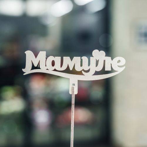 Топпер Мамуле в Краснознаменске