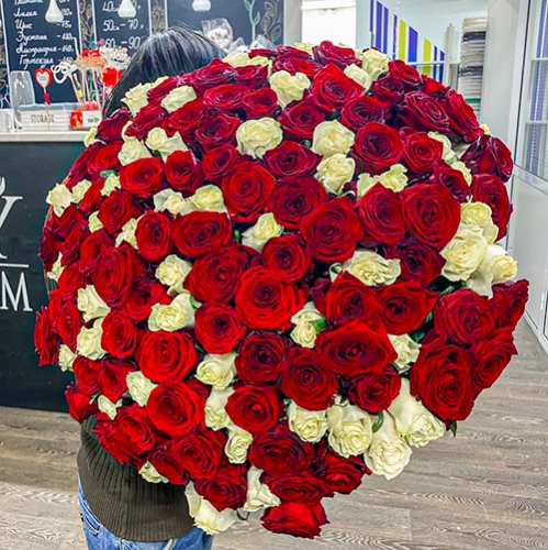 Букет 151 роза красный и белый микс (60 см) в Краснознаменске