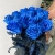 15 синих LUX роз Эквадор (70 см) в Краснознаменске
