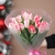 Букет "Фламинго" из 11 пионовидных тюльпанов в Краснознаменске