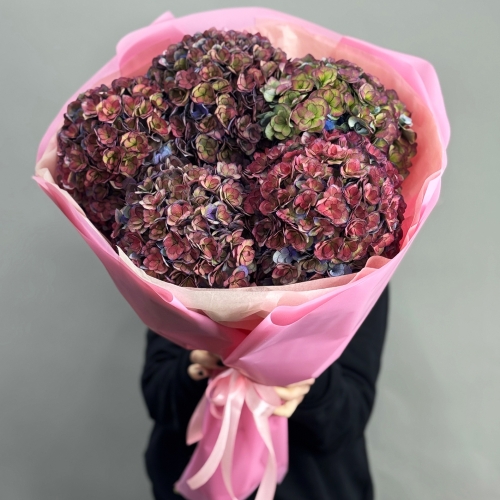 Букет из 5 космических Голландских гортензий в Краснознаменске